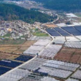 2023年中央一号文件说了啥？要点速览来了