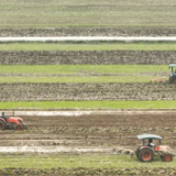 湖湘“春忙图”
