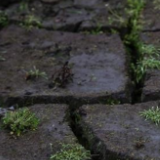 西班牙四月干旱及炎热程度达62年来最高