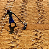 印度再出新规限制大米出口 设定印度香米出口最低价