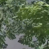 湖南在多云中迎来新一周 明后天有小雨来扰