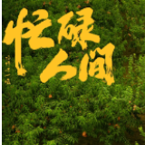 “万家灯火”贺岁片海报①丨忙碌人间
