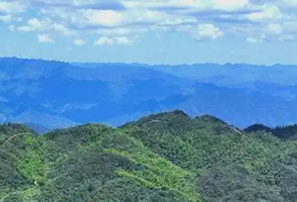 湖南发布第七号省总林长令 力争今年底全省林权抵质押贷款额突破210亿元