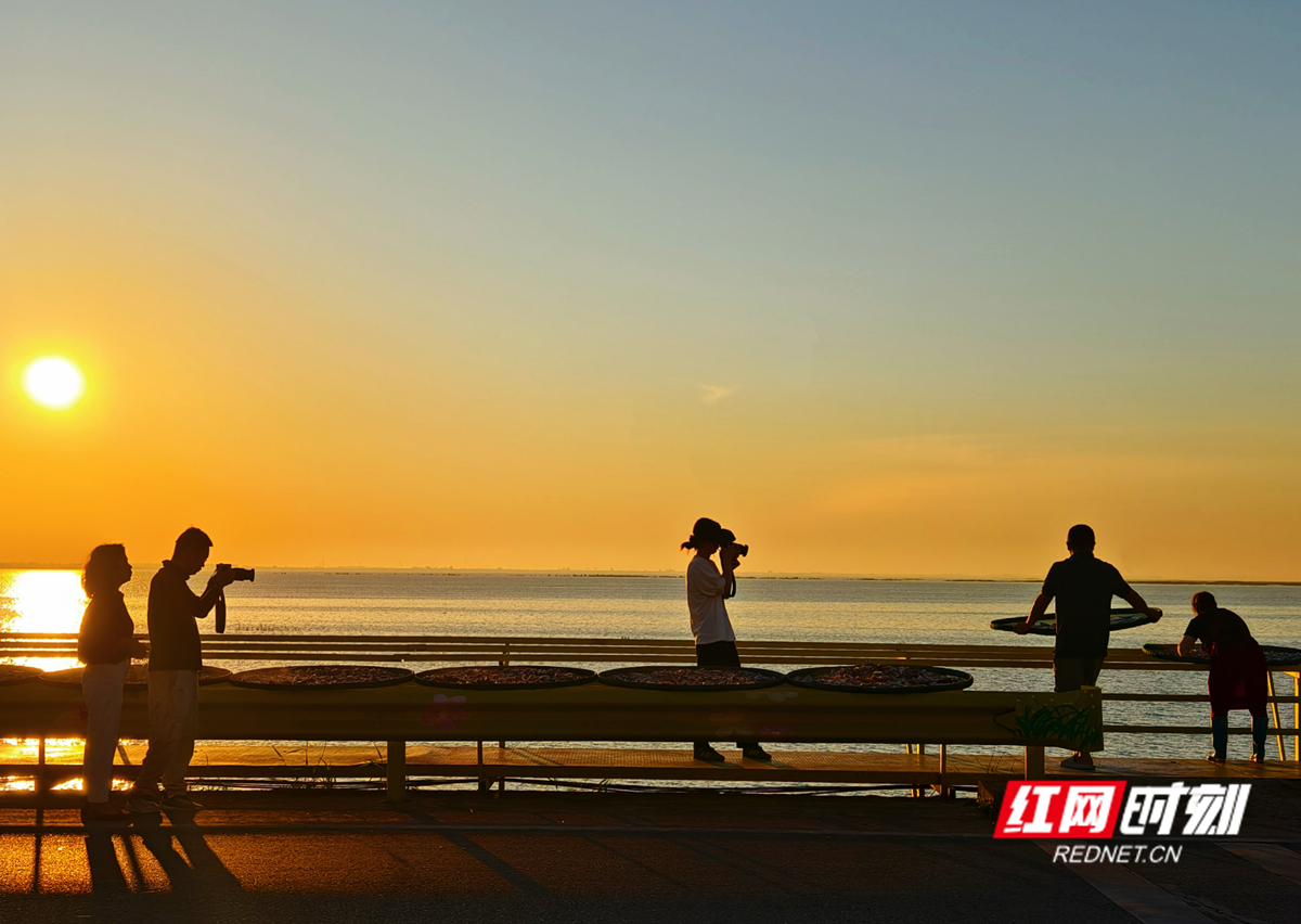 2025.7.4《乡行“曼”记》君山钱粮湖镇篇拍摄,日出时分,记者们正在开始拍摄。(记者:赵曼、韩佳根 编辑:蔡迎)_副本.jpg 2025.7.4《乡行“曼”记》君山钱粮湖镇篇拍摄,日出时分,记者们正在开始拍摄。(记者:赵曼、韩佳根 编辑:蔡迎)_副本.jpg