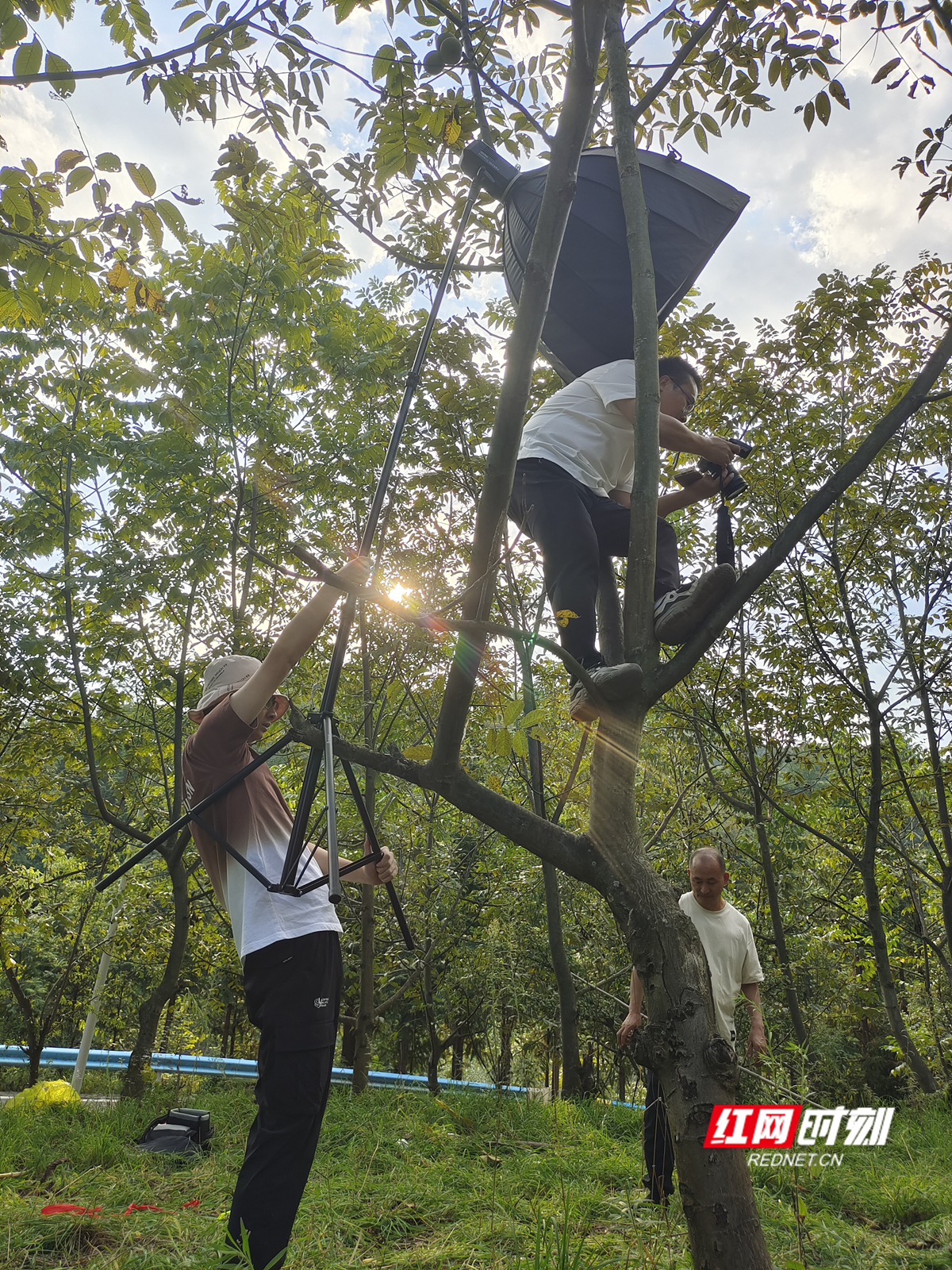 微信图片_20251103204614_5_461_副本.jpg 微信图片_20251103204614_5_461_副本.jpg