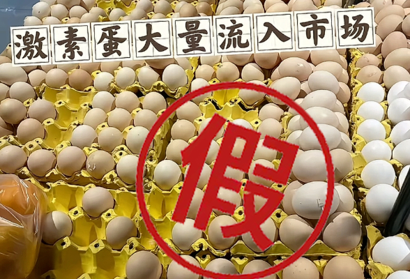 致癌的“激素鸡蛋”又来了？真相是→