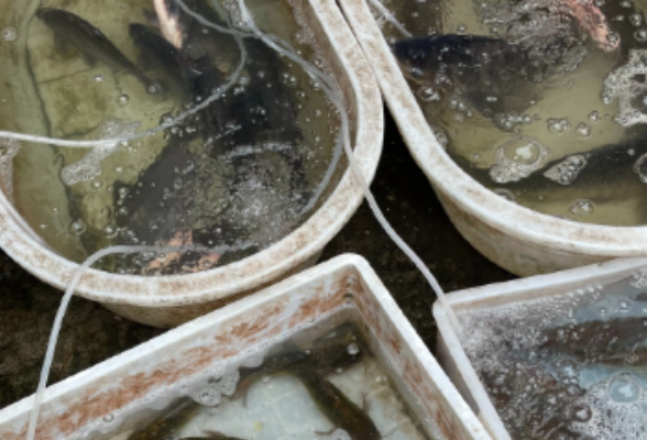 安徽马鞍山：散布谣言！孙某被罚！