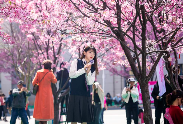 春暖赏花正当时