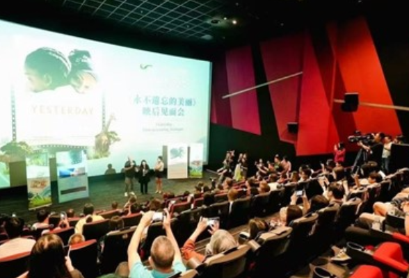 跨越山海，中非电影共绘光影新篇