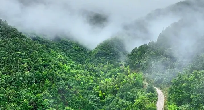 隆回：云飘雾绕 雨后大东山美不胜收