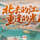 北去的江，重逢的光——我住绿水青山间