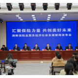 2025年湖南新能源汽车承保109万台 同比增长40%