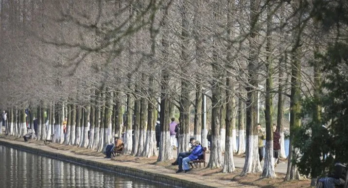 春节长假长沙各景区持续火热