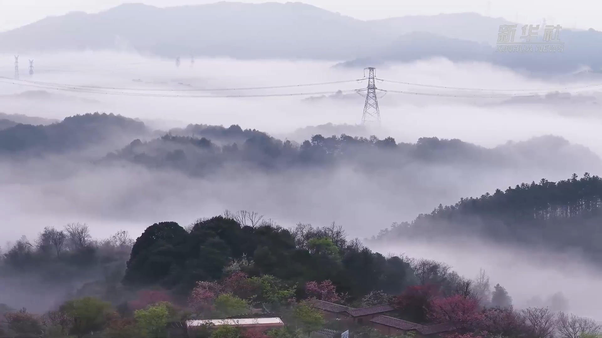 郴州：雾锁丹霞 樱染茶山