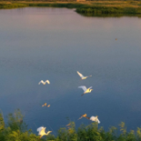 环境保护法等10部法律将纳入生态环境法典