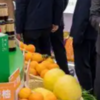 湖南长沙望城区：院士农业结硕果 智赋食材惠市民