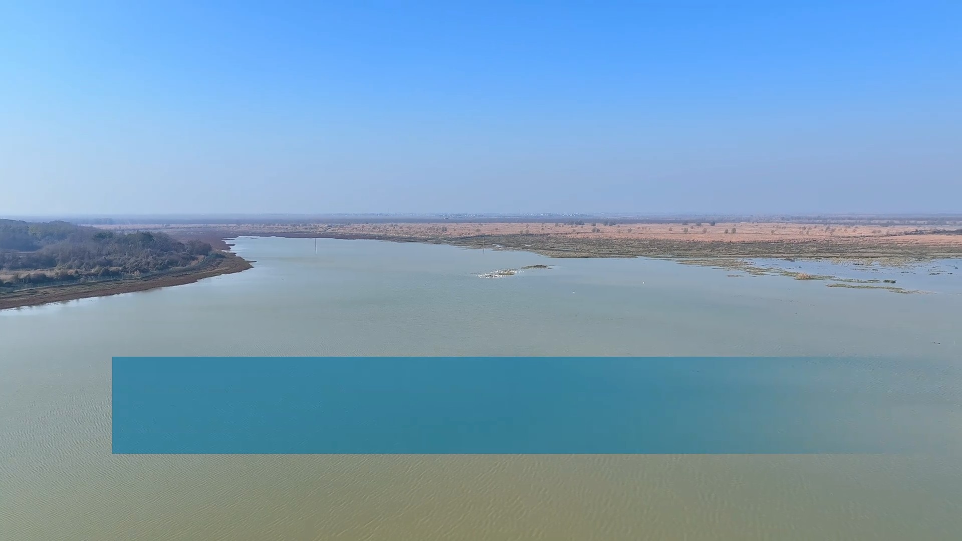 沅江：南洞庭湖“鸟趣”多