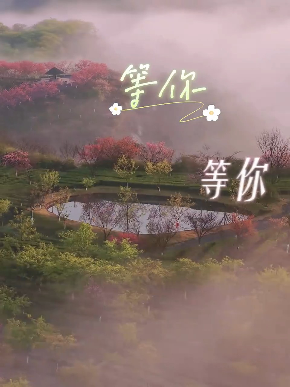 苏仙：春染苏仙 花漾福地