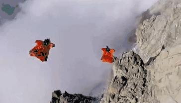 timg.gif