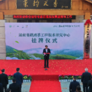 创新茶科技 助乡村振兴 2021湖南茶业科技创新论坛在沅陵县启幕