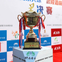 收官之战 湖南省高尔夫球“武陵酒杯”队际争霸赛在常德桃花源举行