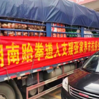 湖南省跆拳道协会筹集九万抗疫物资支援张家界