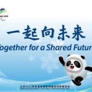 综合消息：中国8金仍领跑 残奥冰球进前六