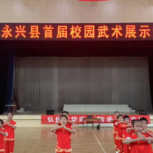 湖南郴州8个县市区启动武术进校园工作
