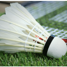 印尼羽毛球大师赛首轮：中国队表现出色