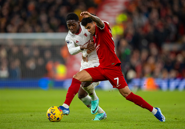 657f9c93f3e8fabeee36258d.jpg 657f9c93f3e8fabeee36258d.jpg