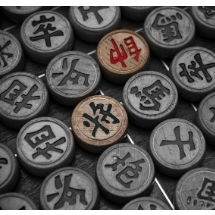 男子象甲联赛常规赛落幕 杭州队夺得冠军