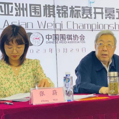 2023亚洲围棋锦标赛开幕 填补亚洲洲级围棋赛事空白