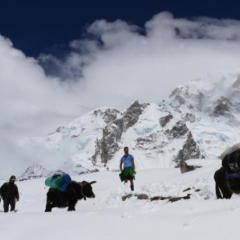 珠峰南坡雪崩致三名夏尔巴向导失踪
