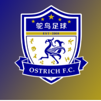 “鸵鸟”不会飞,但要奔跑着去追——黄君华的足球青训逐梦记