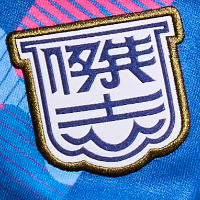 香港杰志队夺得港超联赛三连冠