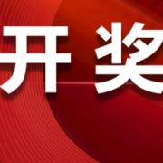 中国体育彩票5月31日开奖信息