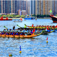 龙舟挥桨 竞渡维港