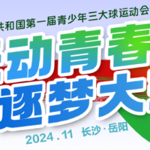 中华人民共和国第一届青少年三大球运动会官网上线