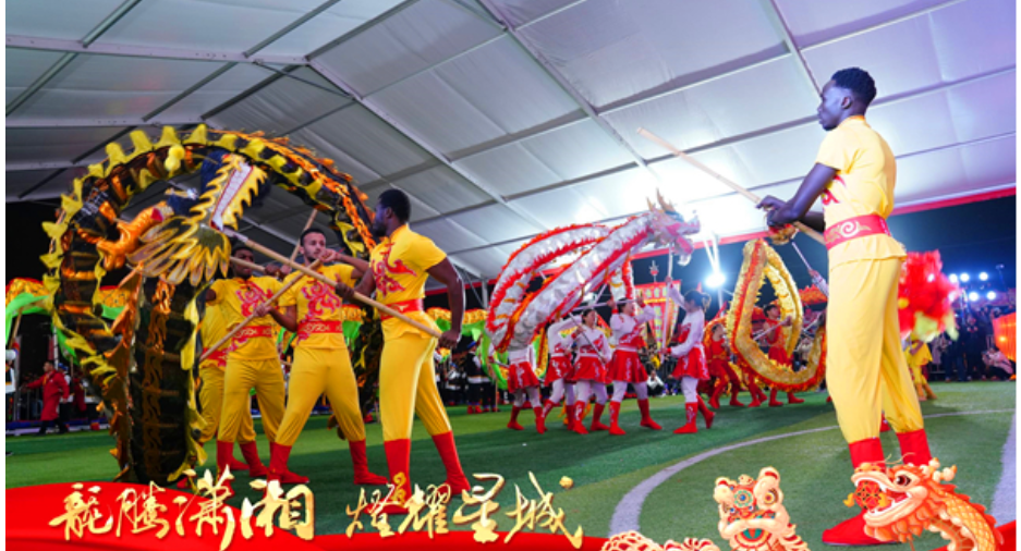 热闹新年看喜庆龙狮比赛 感受传统文化魅力