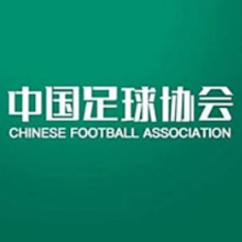 中国足协公布2025赛季中超、中甲联赛参赛名单