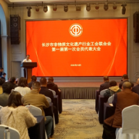 长沙市非物质文化遗产行业工会联合会正式揭牌