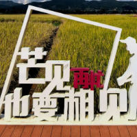“中国作家驻村计划——五粮液和美文化发现乡村之旅”走进云南 | 杨廷成驻村日记（选一）