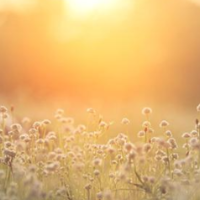 诗歌时刻丨胡丘陵:大理村庄