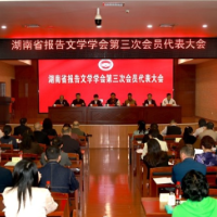 湖南省报告文学学会换届 游和平当选新一届会长