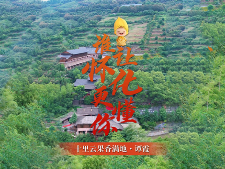 谁让怀化更懂你①丨麻阳云果园谭霞：十里云果香满地