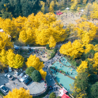 15名选手晋级!2025双牌县“金牌讲解员”大赛决赛名单公布