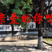 散文丨宛宛:大椿桥“亲爱的你呀”,迎来亲爱的市民