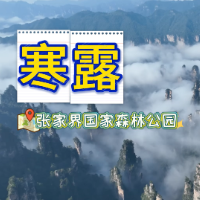 二十四节气·寒露|掠过峰林的风,勾勒张家界最写意的轮廓