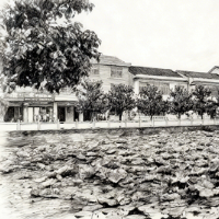 随笔|彭世民:周公塘的冬日素描