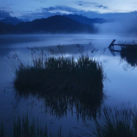 随笔|张毅龙:听夜